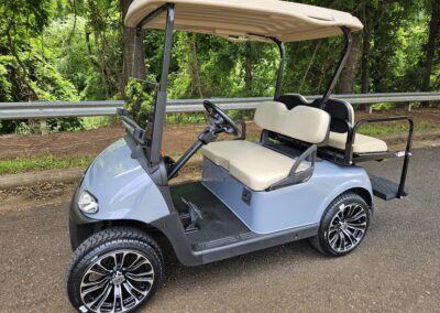 2021 EZ-GO RXV ELITE