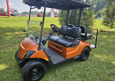 2023 YAMAHA DRIVE2 PTV